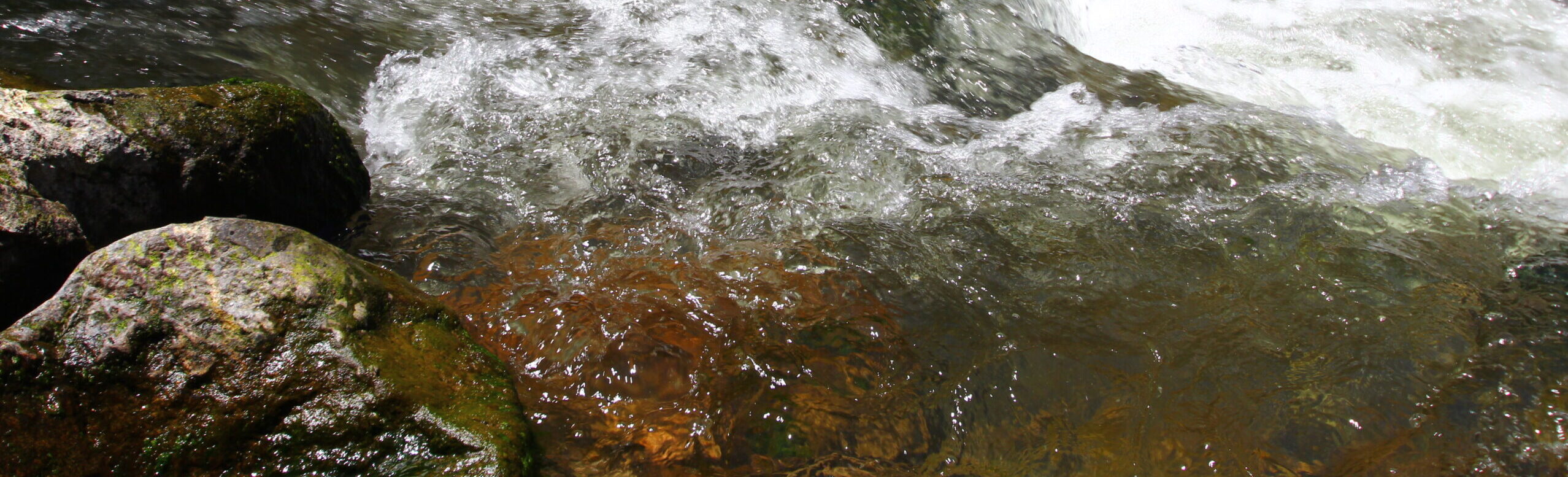 gold run creek susanville ca