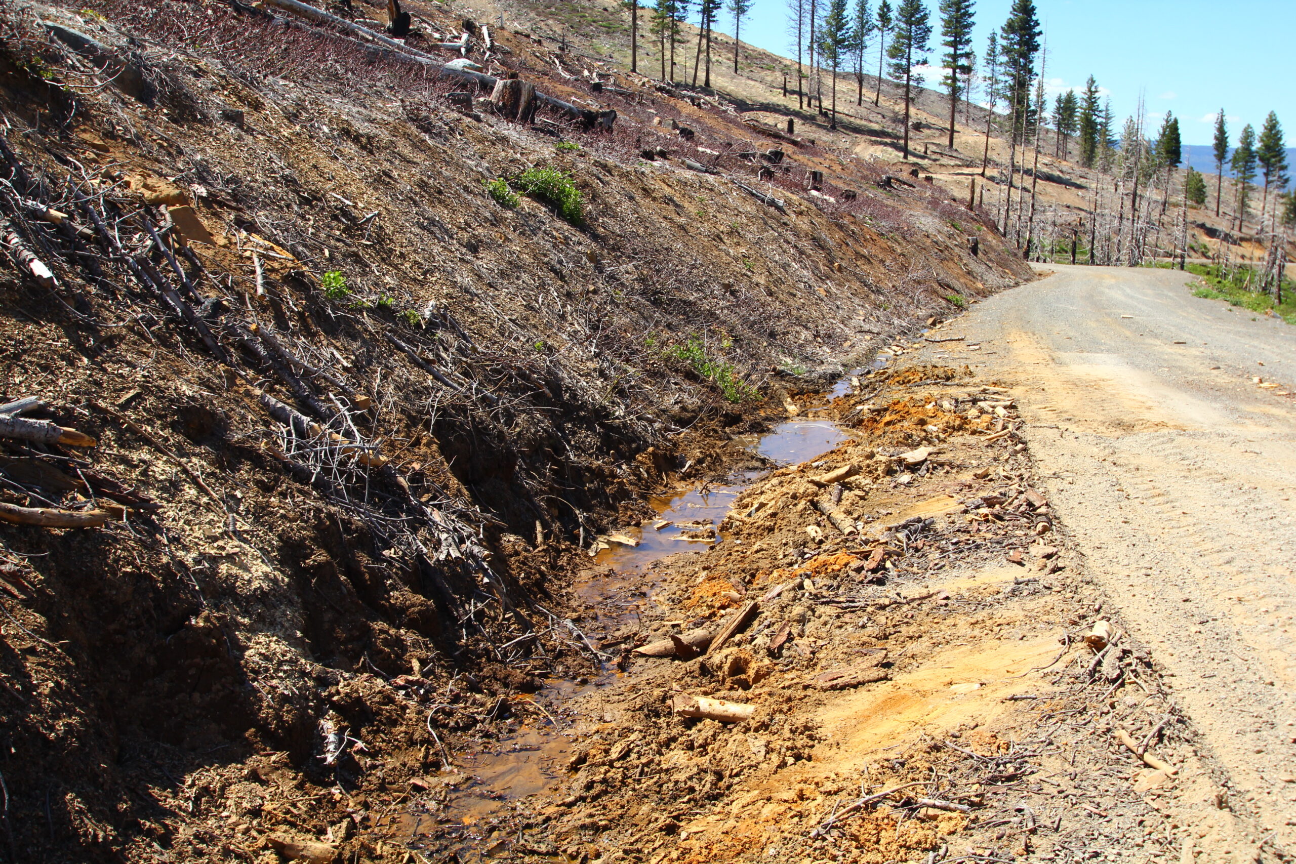 Herbicide Contamination Tracker: Downstream, Downhill, and at Risk 1 IMG 0312 scaled