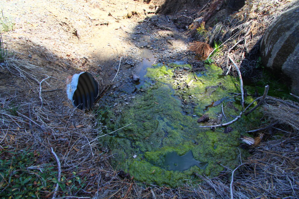 Herbicide Contamination Tracker: Downstream, Downhill, and at Risk 2 IMG 0421