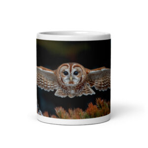 California Spotted Owl 11 oz Mug lassen county ca