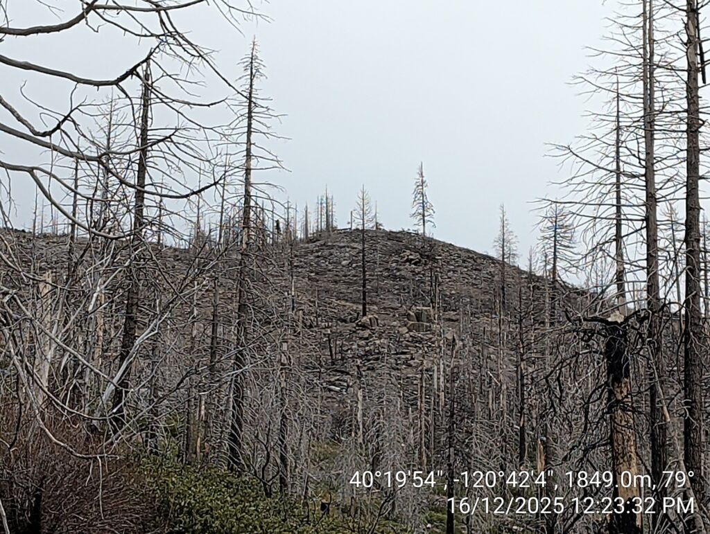 Illegal 70 + Acre Herbicide Application Photos and Evidence for the Lahontan Water Board 15 IMG 20251216 122332