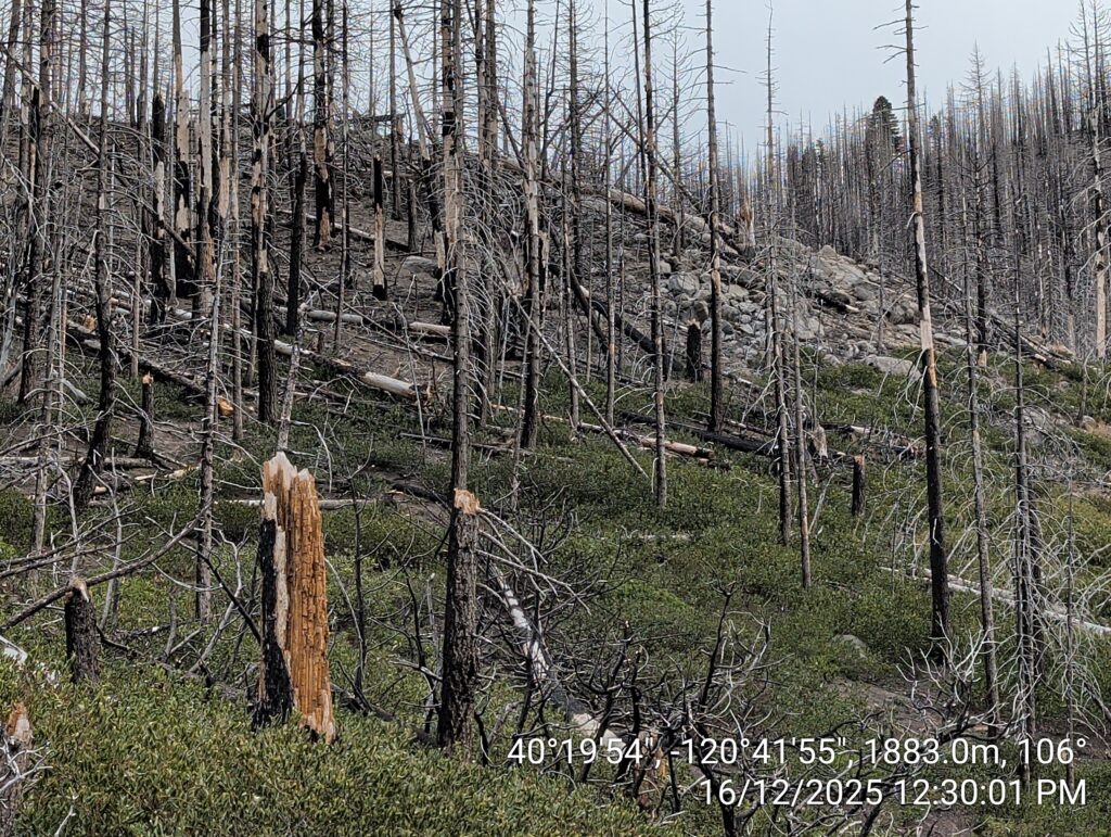 Illegal 70 + Acre Herbicide Application Photos and Evidence for the Lahontan Water Board 16 IMG 20251216 123001