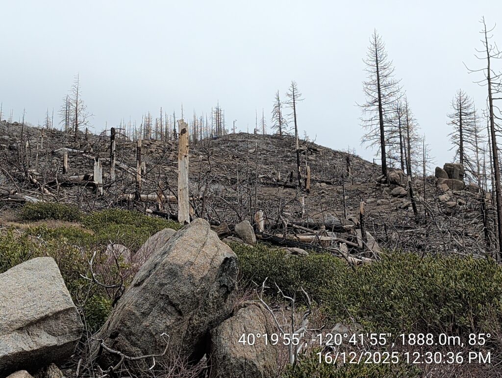Illegal 70 + Acre Herbicide Application Photos and Evidence for the Lahontan Water Board 18 IMG 20251216 123036