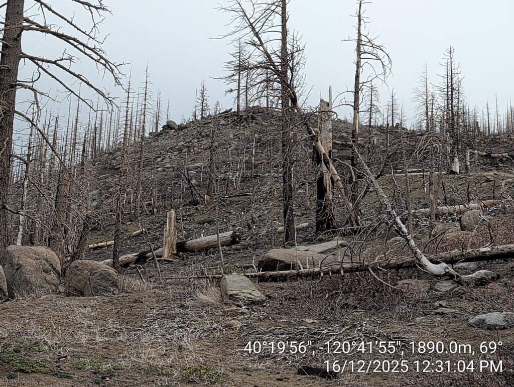 Illegal 70 + Acre Herbicide Application Photos and Evidence for the Lahontan Water Board 19 IMG 20251216 123104