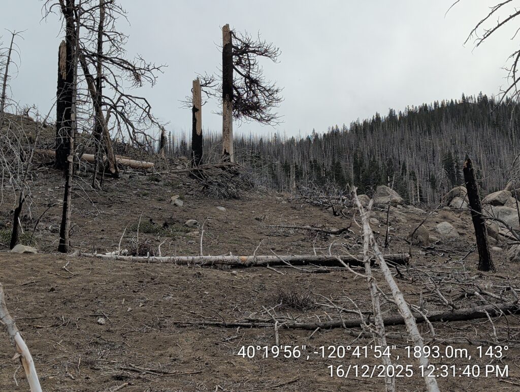Illegal 70 + Acre Herbicide Application Photos and Evidence for the Lahontan Water Board 21 IMG 20251216 123140