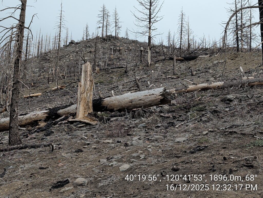 Illegal 70 + Acre Herbicide Application Photos and Evidence for the Lahontan Water Board 22 IMG 20251216 123217