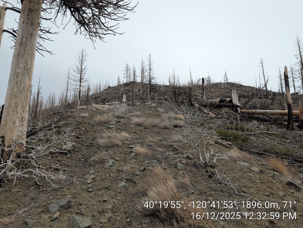 Illegal 70 + Acre Herbicide Application Photos and Evidence for the Lahontan Water Board 24 IMG 20251216 123259