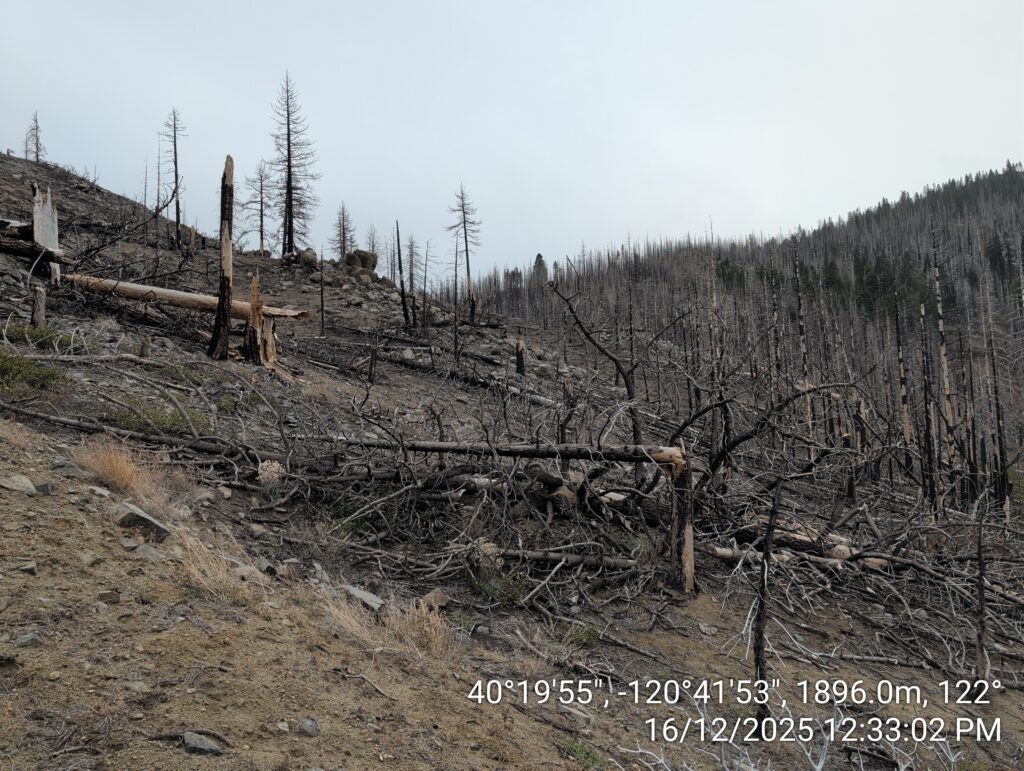 Illegal 70 + Acre Herbicide Application Photos and Evidence for the Lahontan Water Board 25 IMG 20251216 123302