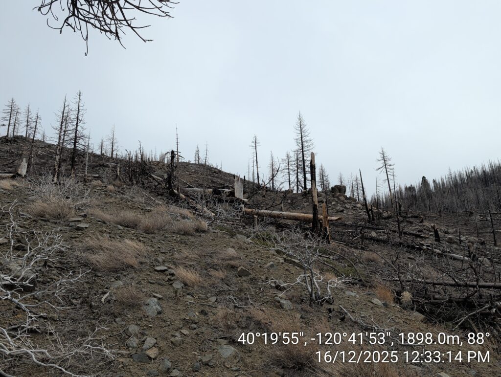 Illegal 70 + Acre Herbicide Application Photos and Evidence for the Lahontan Water Board 26 IMG 20251216 123314