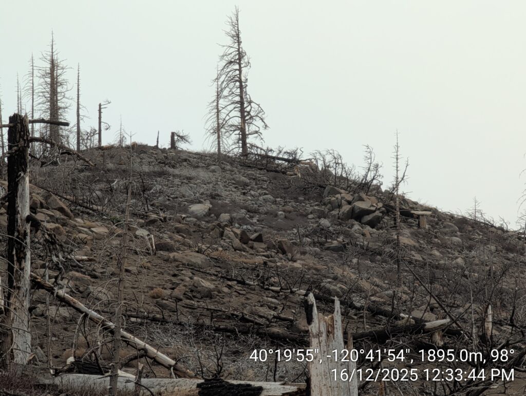 Illegal 70 + Acre Herbicide Application Photos and Evidence for the Lahontan Water Board 27 IMG 20251216 123344 copy