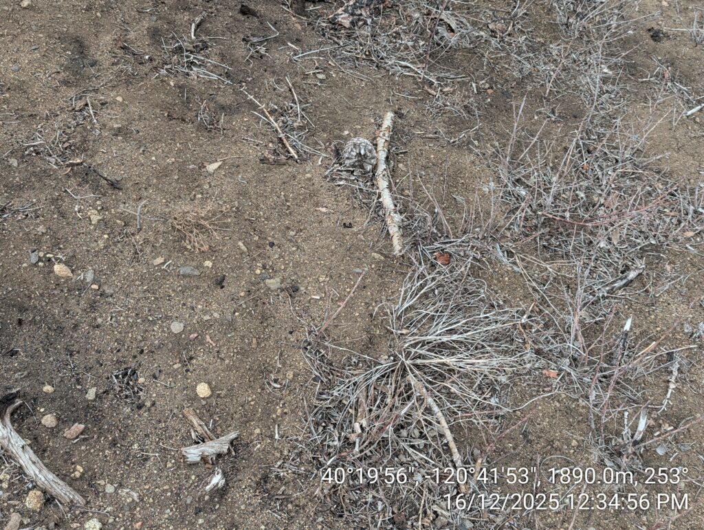 Illegal 70 + Acre Herbicide Application Photos and Evidence for the Lahontan Water Board 29 IMG 20251216 123456