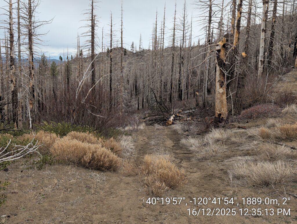 Illegal 70 + Acre Herbicide Application Photos and Evidence for the Lahontan Water Board 31 IMG 20251216 123513