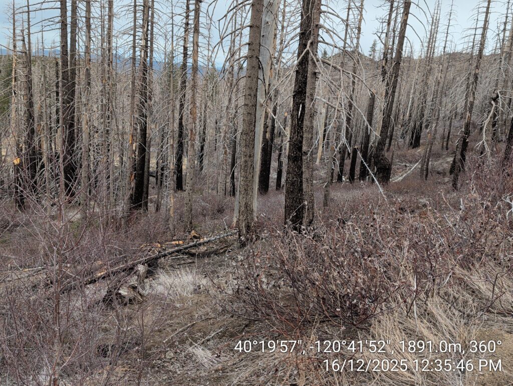 Illegal 70 + Acre Herbicide Application Photos and Evidence for the Lahontan Water Board 32 IMG 20251216 123546 copy