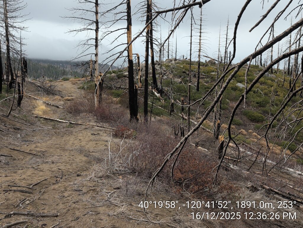 Illegal 70 + Acre Herbicide Application Photos and Evidence for the Lahontan Water Board 38 IMG 20251216 123626
