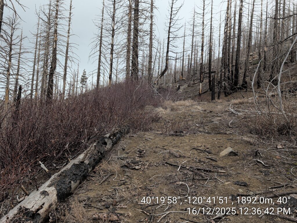 Illegal 70 + Acre Herbicide Application Photos and Evidence for the Lahontan Water Board 39 IMG 20251216 123642