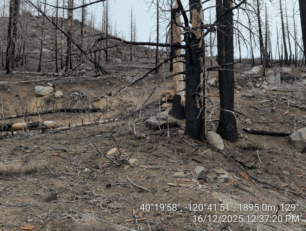 Illegal 70 + Acre Herbicide Application Photos and Evidence for the Lahontan Water Board 45 IMG 20251216 123720 copy