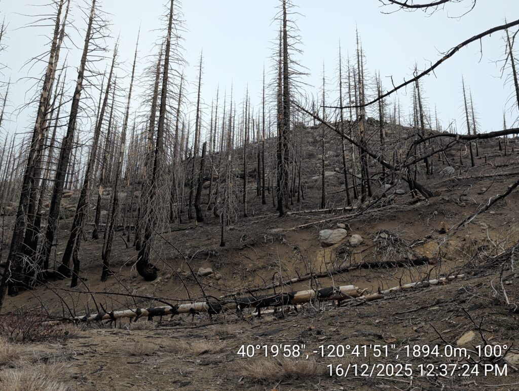 Illegal 70 + Acre Herbicide Application Photos and Evidence for the Lahontan Water Board 47 IMG 20251216 123724