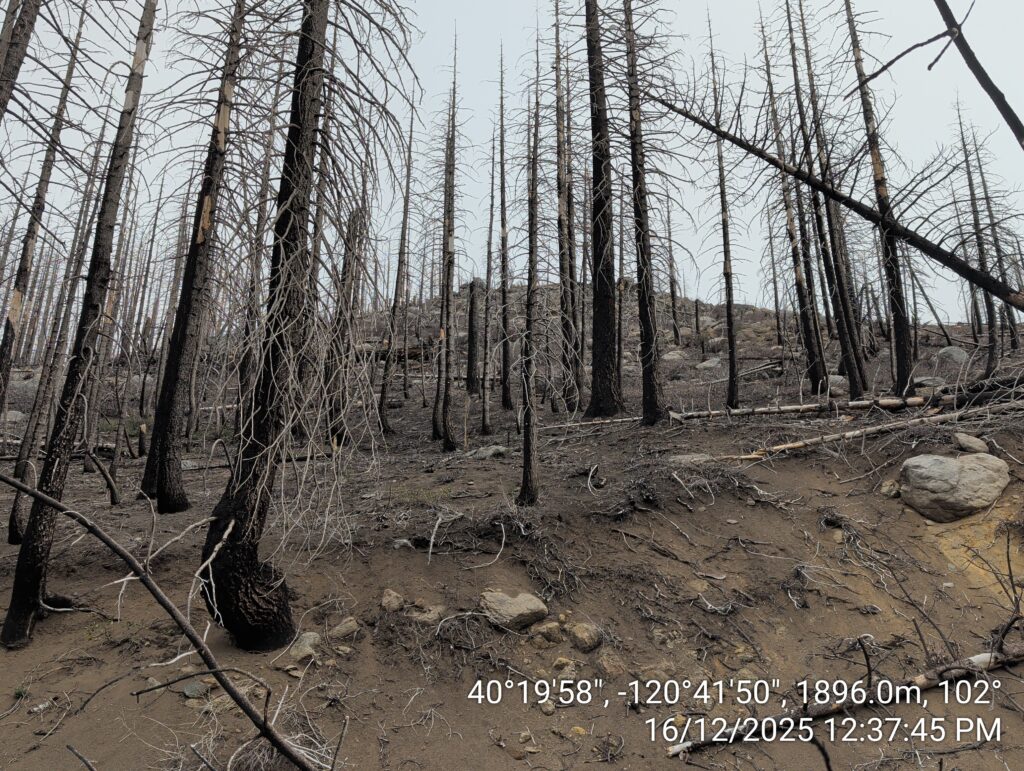 Illegal 70 + Acre Herbicide Application Photos and Evidence for the Lahontan Water Board 48 IMG 20251216 123745