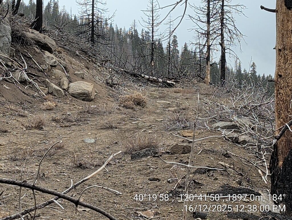 Illegal 70 + Acre Herbicide Application Photos and Evidence for the Lahontan Water Board 49 IMG 20251216 123800 copy