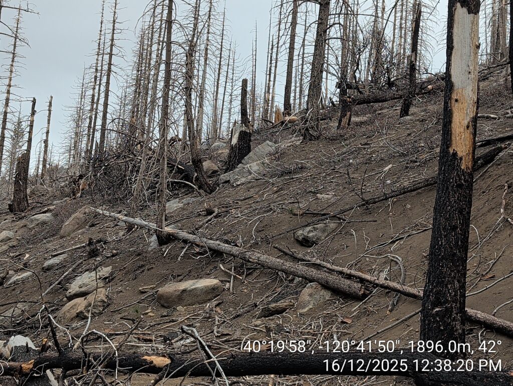 Illegal 70 + Acre Herbicide Application Photos and Evidence for the Lahontan Water Board 52 IMG 20251216 123820 copy