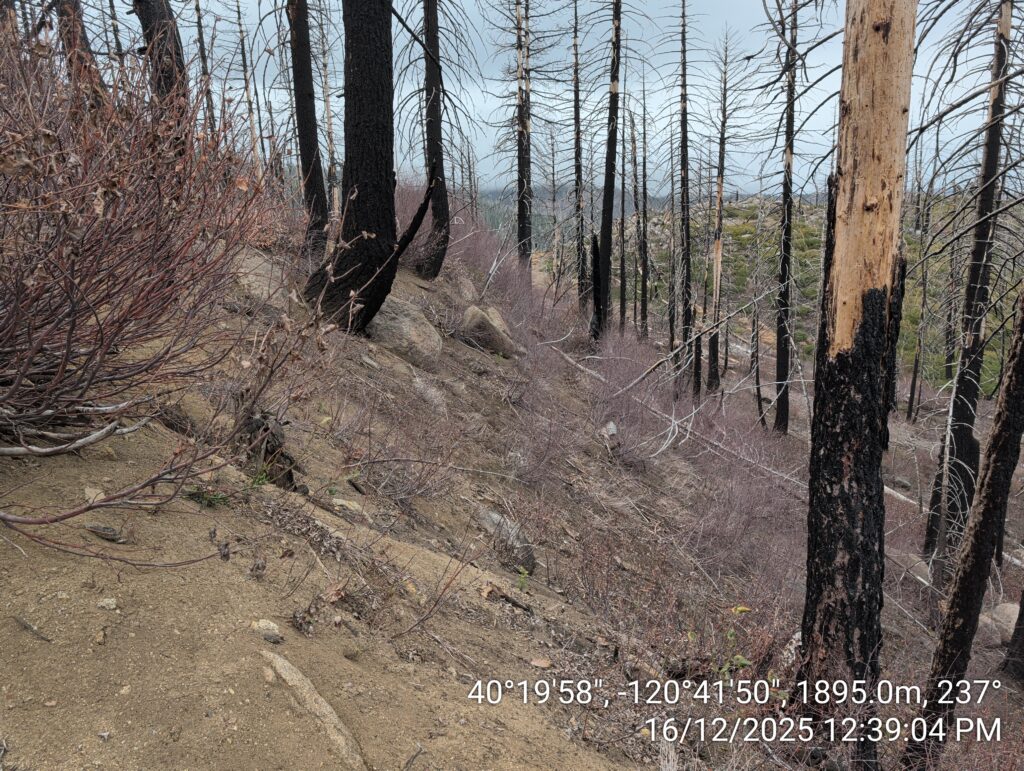 Illegal 70 + Acre Herbicide Application Photos and Evidence for the Lahontan Water Board 53 IMG 20251216 123904
