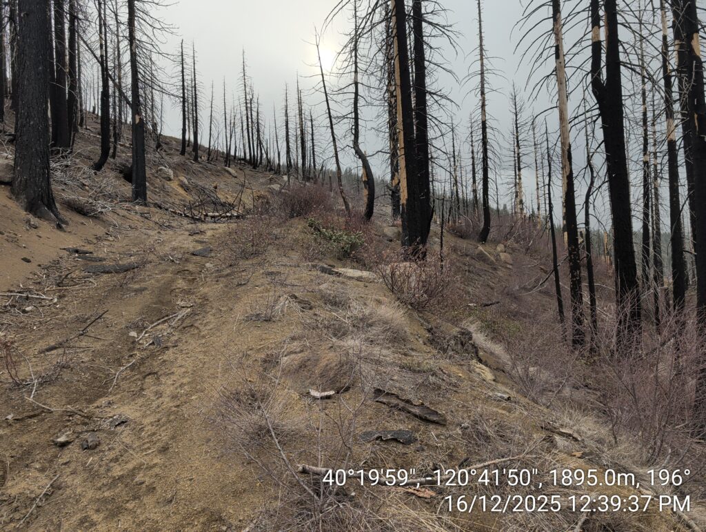 Illegal 70 + Acre Herbicide Application Photos and Evidence for the Lahontan Water Board 56 IMG 20251216 123937