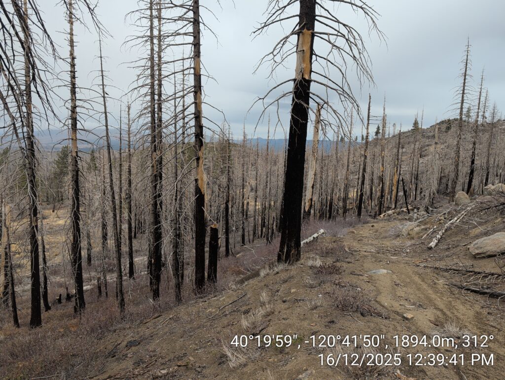 Illegal 70 + Acre Herbicide Application Photos and Evidence for the Lahontan Water Board 57 IMG 20251216 123941