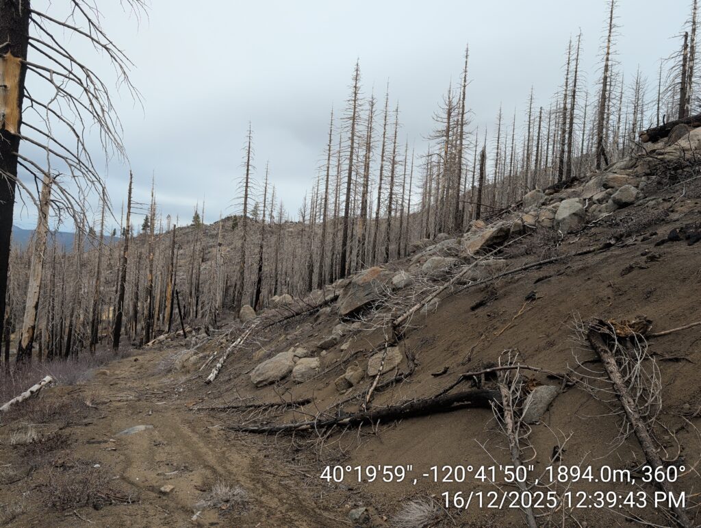 Illegal 70 + Acre Herbicide Application Photos and Evidence for the Lahontan Water Board 58 IMG 20251216 123943
