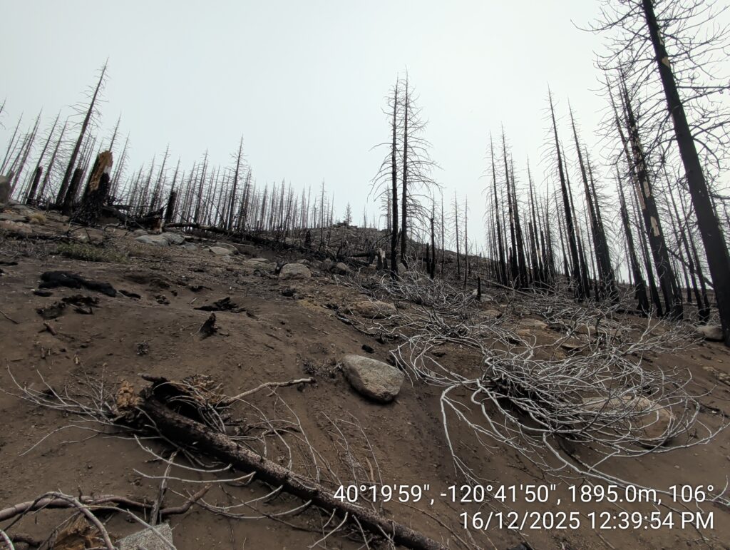 Illegal 70 + Acre Herbicide Application Photos and Evidence for the Lahontan Water Board 60 IMG 20251216 123954 copy