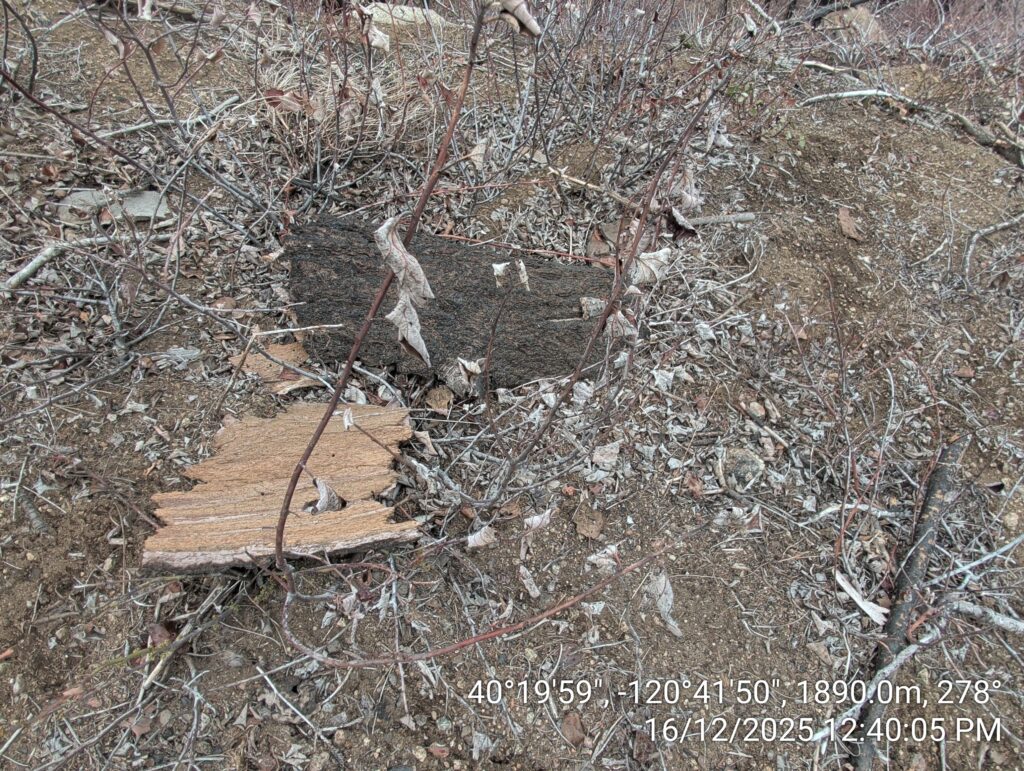 Illegal 70 + Acre Herbicide Application Photos and Evidence for the Lahontan Water Board 61 IMG 20251216 124005