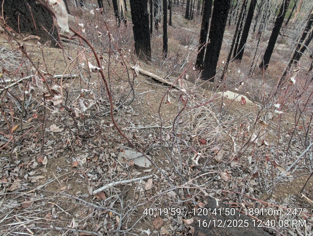 Illegal 70 + Acre Herbicide Application Photos and Evidence for the Lahontan Water Board 62 IMG 20251216 124008