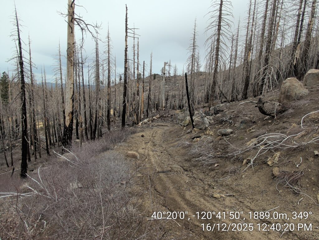 Illegal 70 + Acre Herbicide Application Photos and Evidence for the Lahontan Water Board 64 IMG 20251216 124020