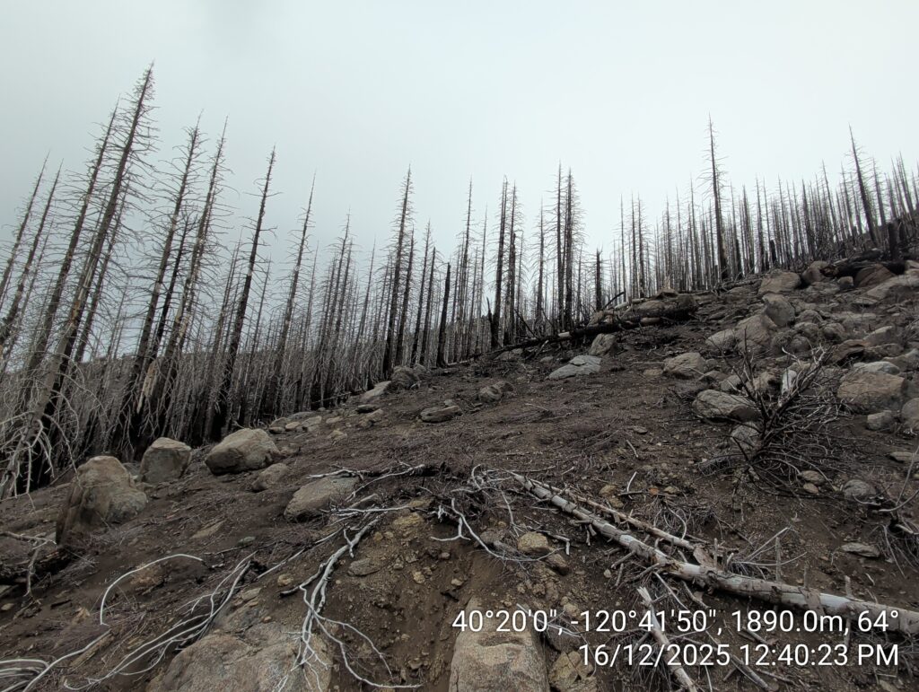 Illegal 70 + Acre Herbicide Application Photos and Evidence for the Lahontan Water Board 65 IMG 20251216 124023 copy