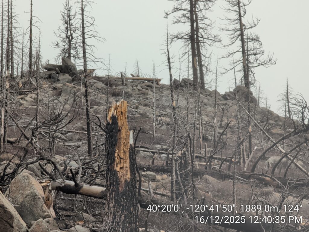 Illegal 70 + Acre Herbicide Application Photos and Evidence for the Lahontan Water Board 67 IMG 20251216 124035
