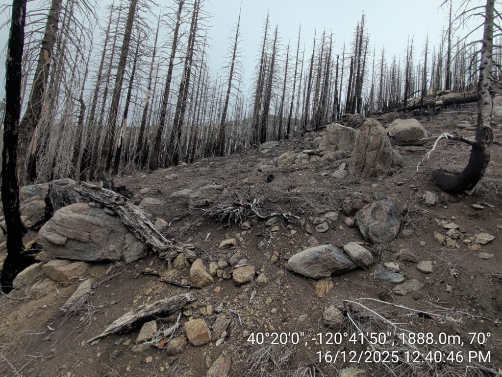 Illegal 70 + Acre Herbicide Application Photos and Evidence for the Lahontan Water Board 68 IMG 20251216 124046