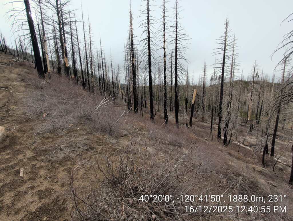 Illegal 70 + Acre Herbicide Application Photos and Evidence for the Lahontan Water Board 69 IMG 20251216 124055