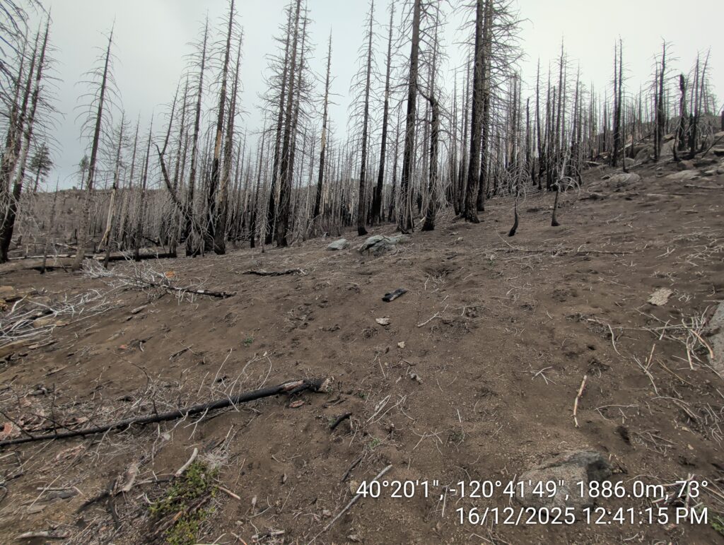 Illegal 70 + Acre Herbicide Application Photos and Evidence for the Lahontan Water Board 71 IMG 20251216 124115