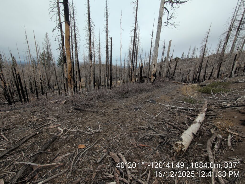 Illegal 70 + Acre Herbicide Application Photos and Evidence for the Lahontan Water Board 72 IMG 20251216 124133