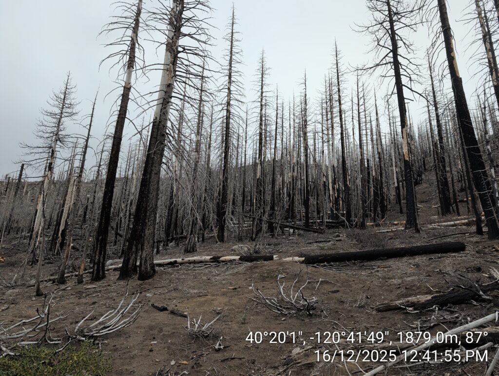 Illegal 70 + Acre Herbicide Application Photos and Evidence for the Lahontan Water Board 74 IMG 20251216 124155