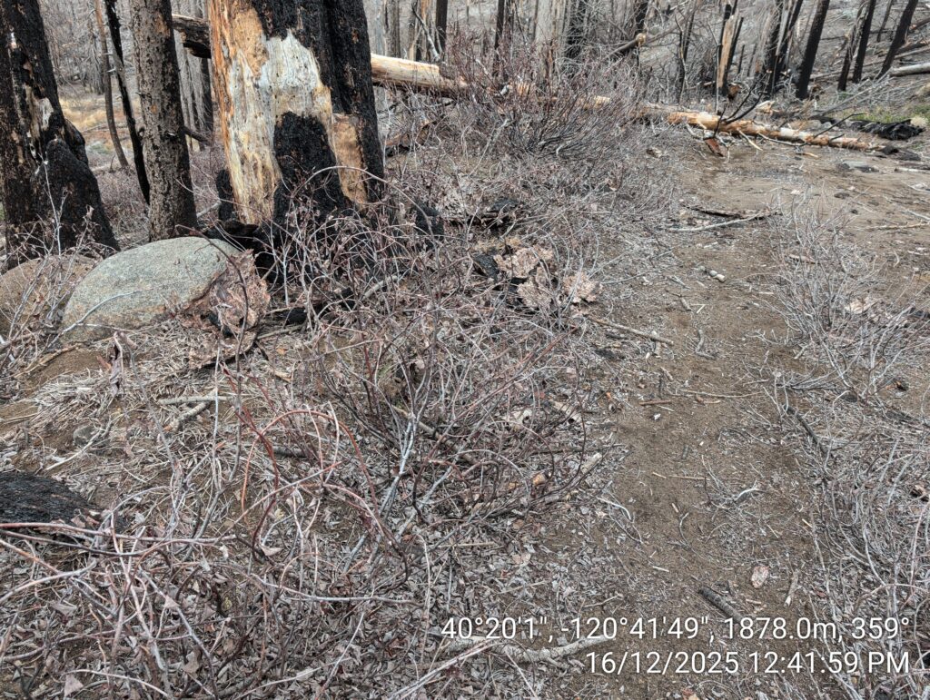 Illegal 70 + Acre Herbicide Application Photos and Evidence for the Lahontan Water Board 75 IMG 20251216 124159