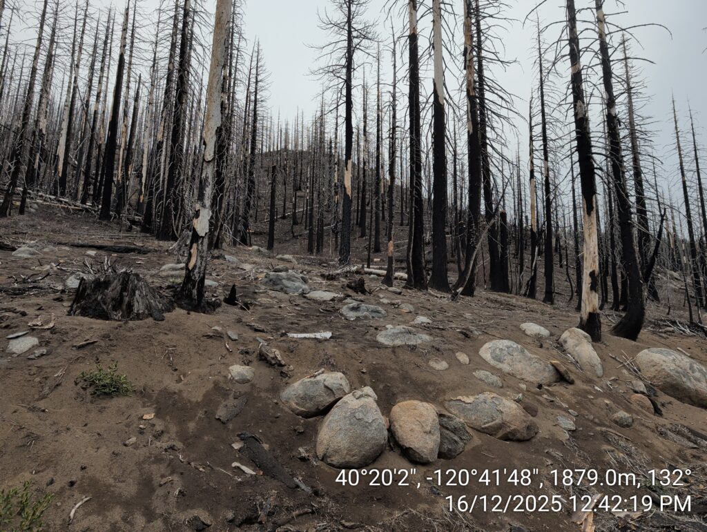 Illegal 70 + Acre Herbicide Application Photos and Evidence for the Lahontan Water Board 76 IMG 20251216 124219