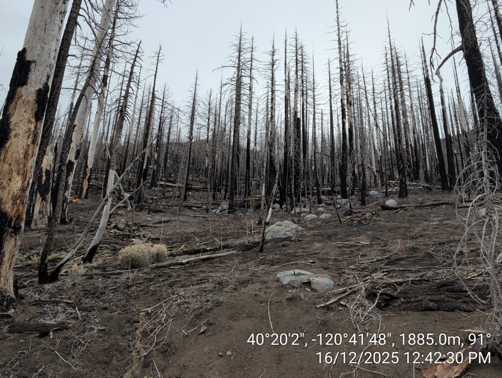 Illegal 70 + Acre Herbicide Application Photos and Evidence for the Lahontan Water Board 77 IMG 20251216 124230