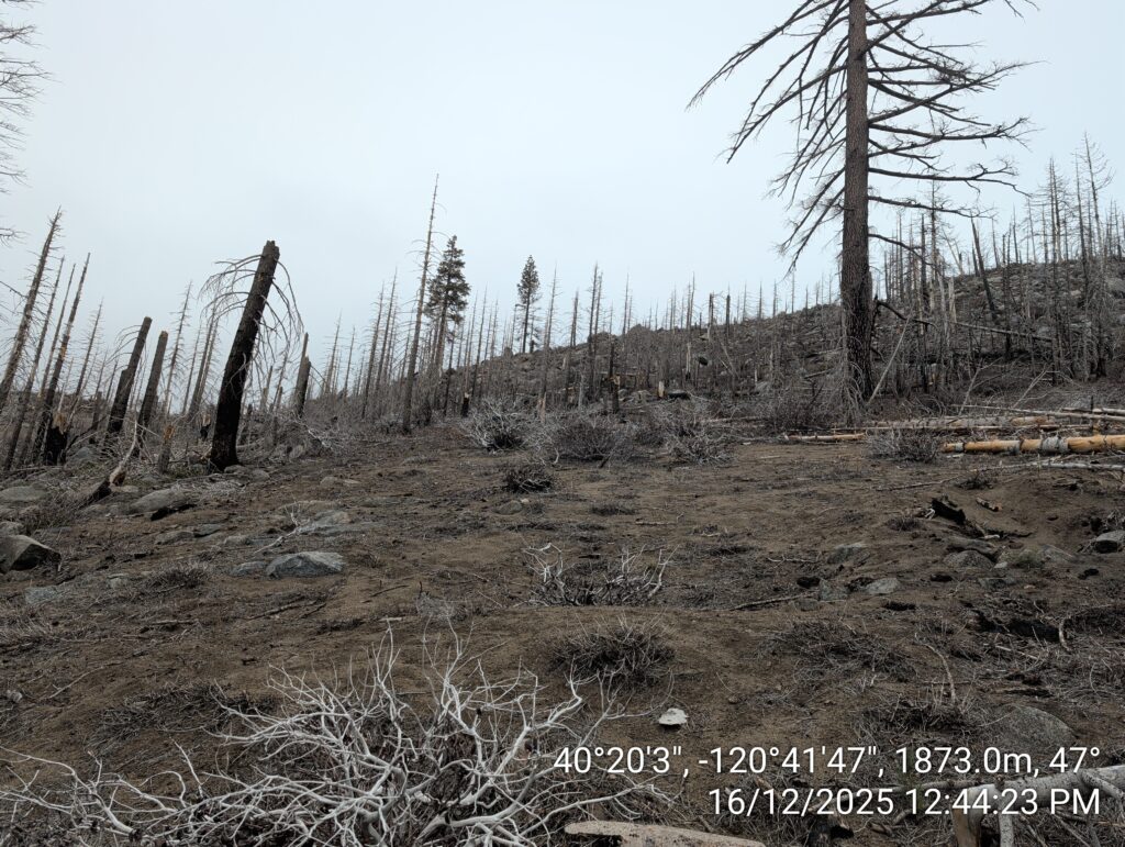 Illegal 70 + Acre Herbicide Application Photos and Evidence for the Lahontan Water Board 84 IMG 20251216 124423