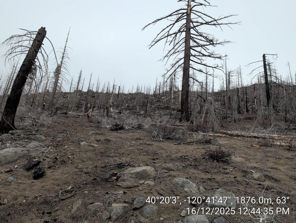 Illegal 70 + Acre Herbicide Application Photos and Evidence for the Lahontan Water Board 85 IMG 20251216 124435