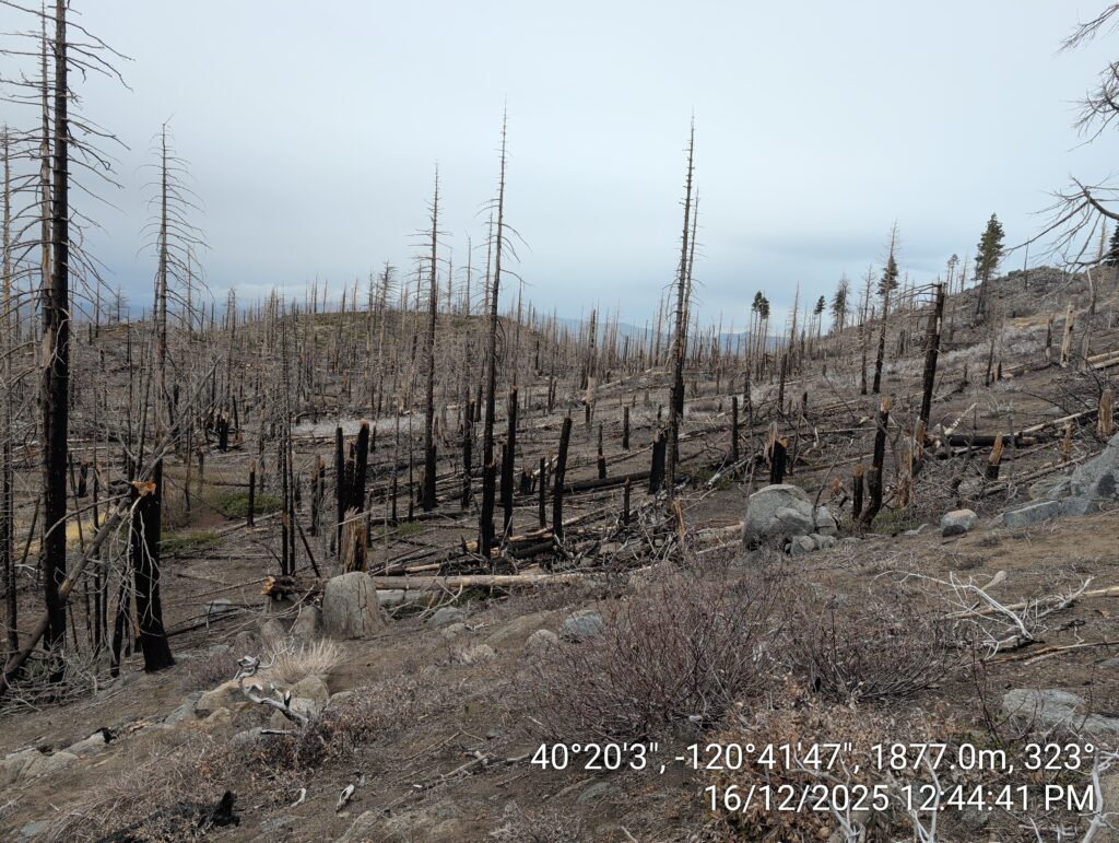 Illegal 70 + Acre Herbicide Application Photos and Evidence for the Lahontan Water Board 86 IMG 20251216 124441