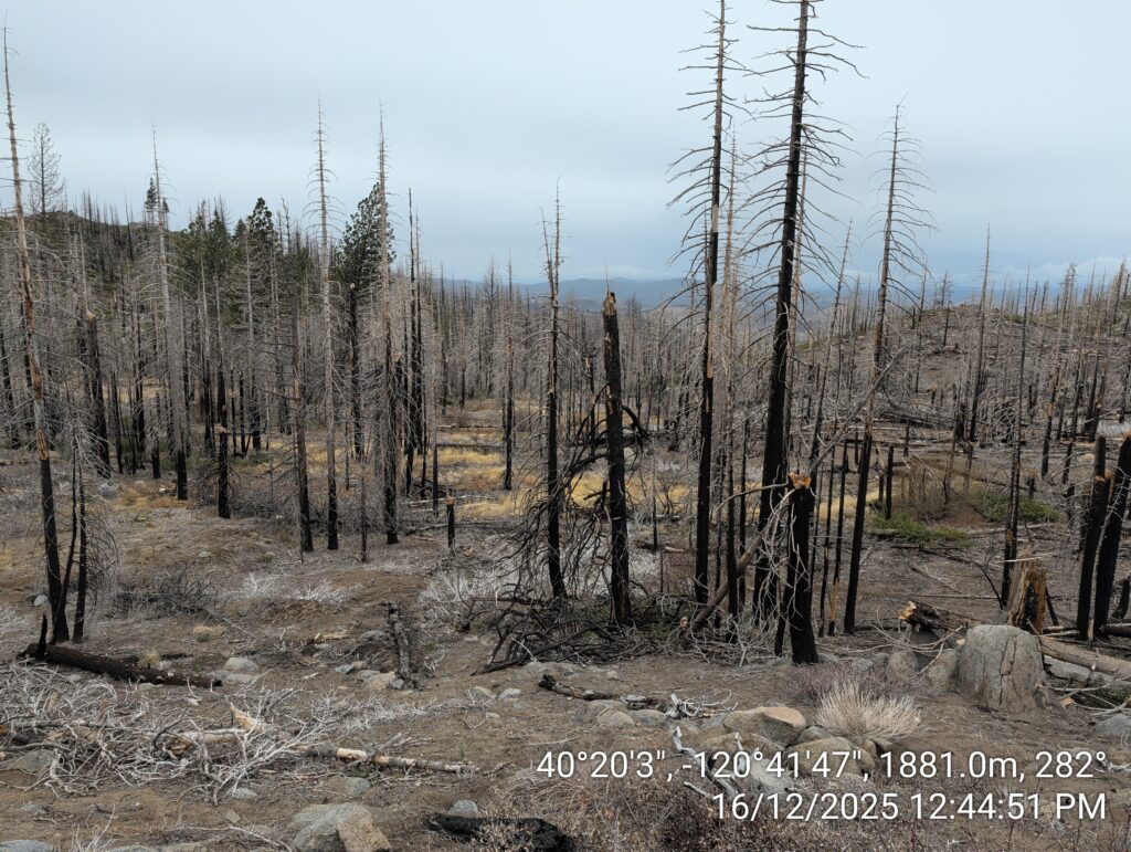Illegal 70 + Acre Herbicide Application Photos and Evidence for the Lahontan Water Board 87 IMG 20251216 124451