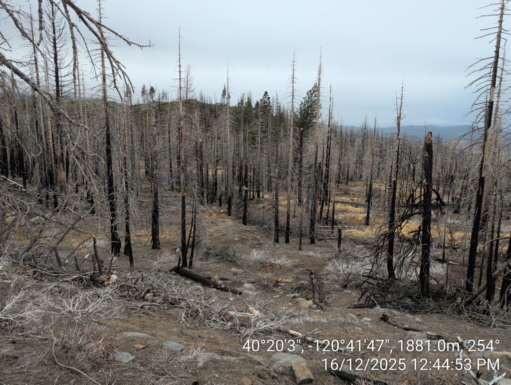 Illegal 70 + Acre Herbicide Application Photos and Evidence for the Lahontan Water Board 88 IMG 20251216 124453