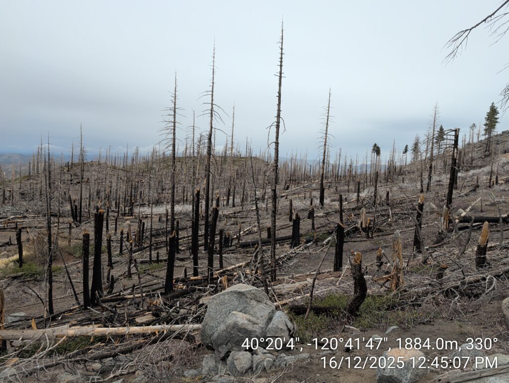 Illegal 70 + Acre Herbicide Application Photos and Evidence for the Lahontan Water Board 89 IMG 20251216 124507