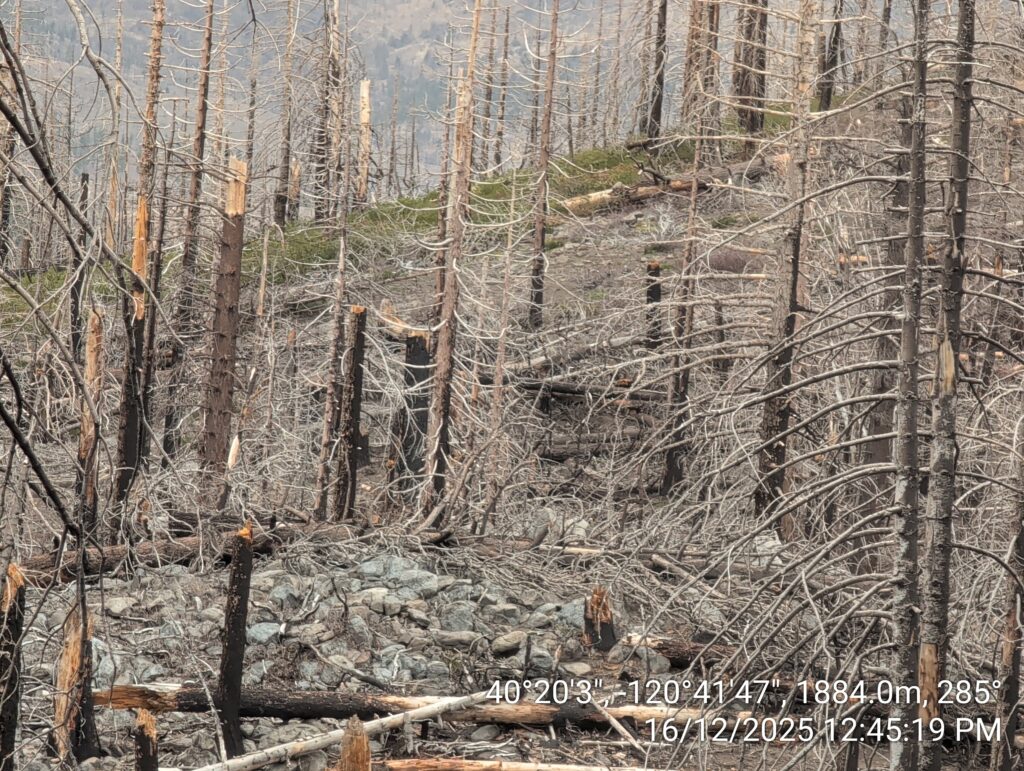 Illegal 70 + Acre Herbicide Application Photos and Evidence for the Lahontan Water Board 90 IMG 20251216 124519