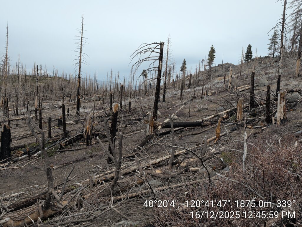 Illegal 70 + Acre Herbicide Application Photos and Evidence for the Lahontan Water Board 93 IMG 20251216 124559